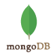 MongoDB-for-Storage-Bigscal-india