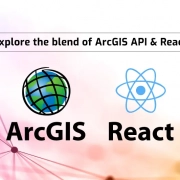 Explore the blend of ArcGIS API & React
