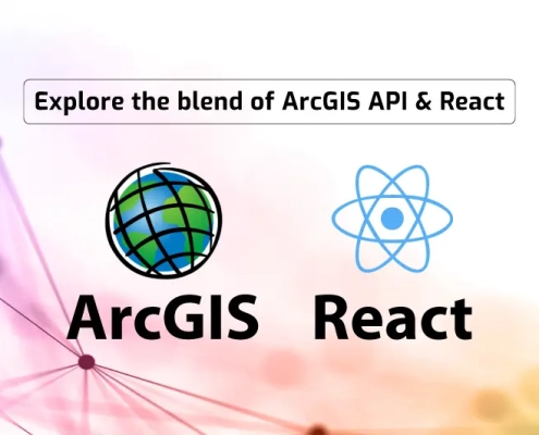 Explore the blend of ArcGIS API & React