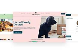 Different-Dog-web-app-banner