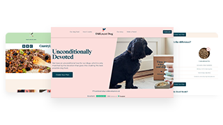 Different-Dog-web-app-banner