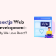 Why We Love React Js For Website Development?