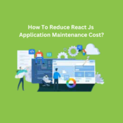 How To Reduce React Js Application Maintenance Cost
