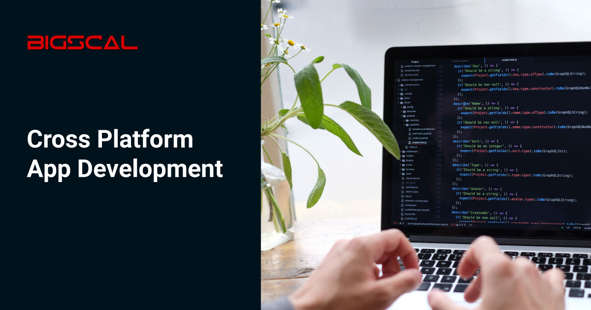 Cross Platform App Development Services | Bigscal