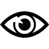 Vision