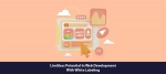 Limitless potential in web development with White Labeling