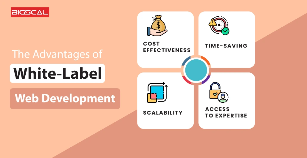 The Advantages of White Label Web Development Services