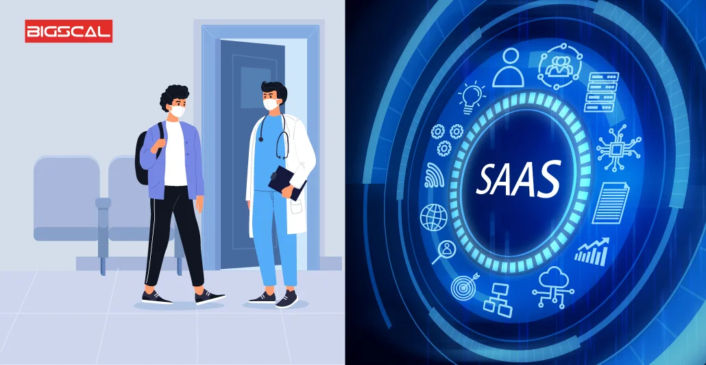 What do SaaS Healthcare Companies Do