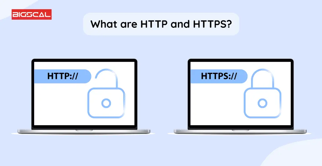 What are HTTP and HTTPS