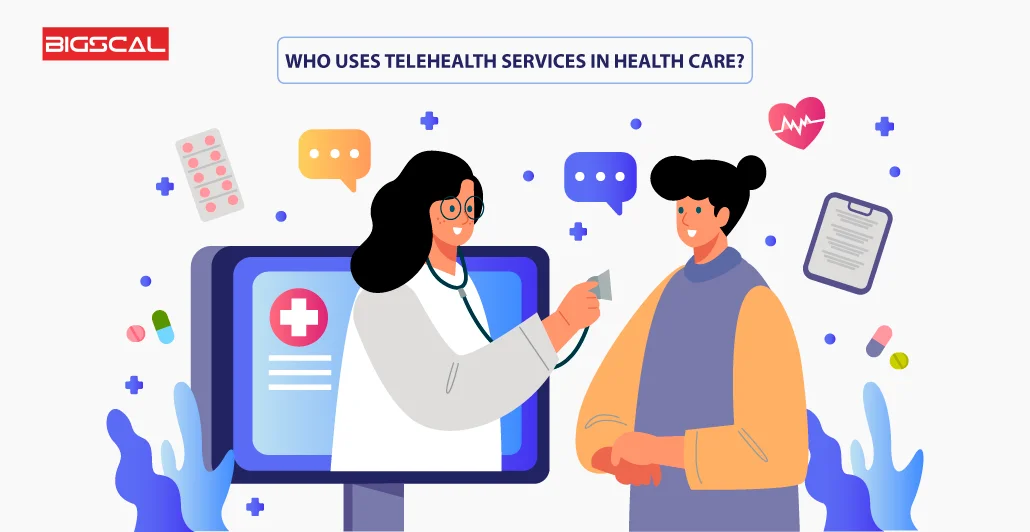 Who uses Telehealth services in health care