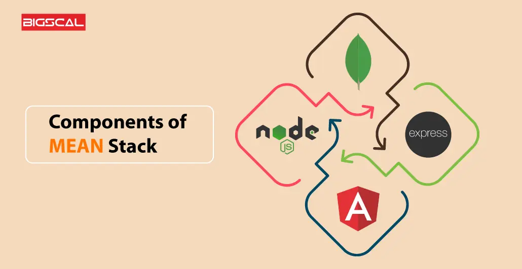 components-of-mean-stack