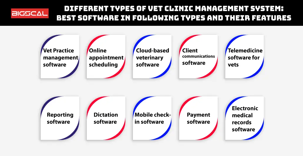 Different Types Of Vet Clinic Management System