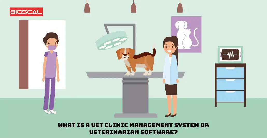 What is a Vet Clinic Management System or veterinarian software
