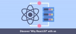 Discover why ReactJs? with us