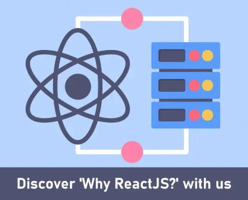 Discover why ReactJs? with us