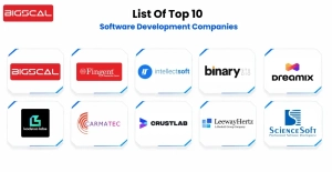 List Of Top 10 Software Development Companies-Bigscal