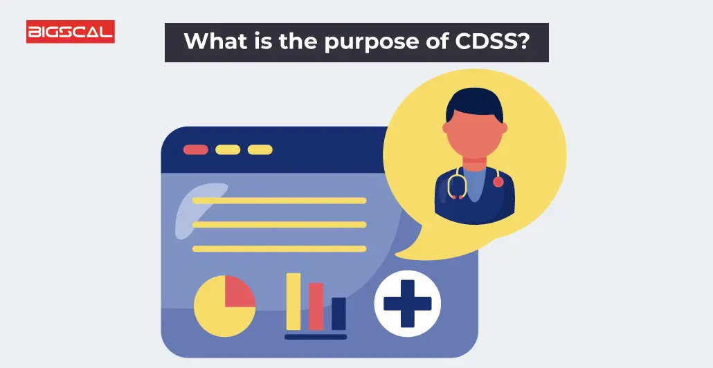 What is the purpose of CDSS