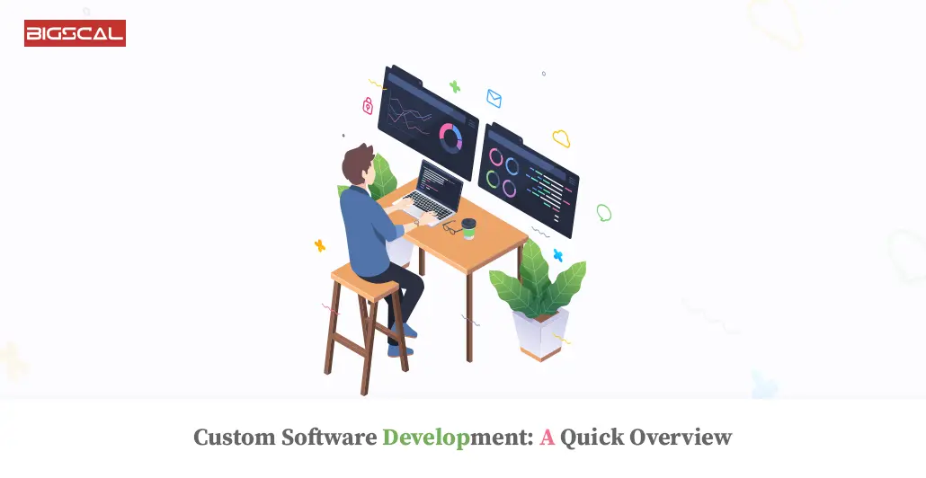 Custom Software Development A Quick Overview