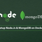 Setup Nod JS and MongoDB on docker