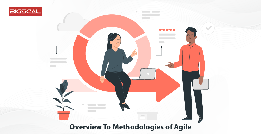 Overview To Methodologies of Agile