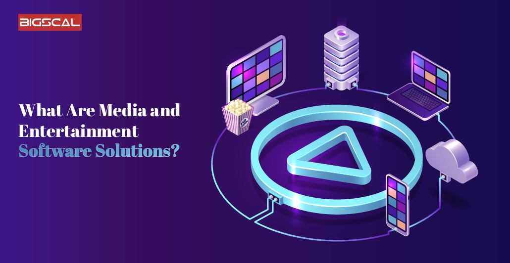 What Are Media and Entertainment Software Solutions