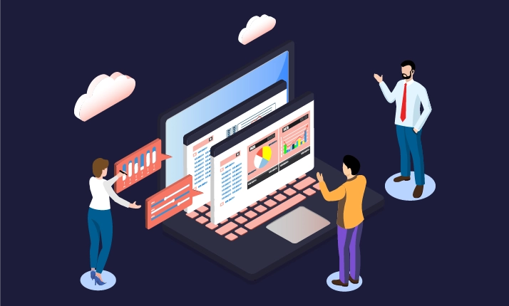 Software Consulting Services
