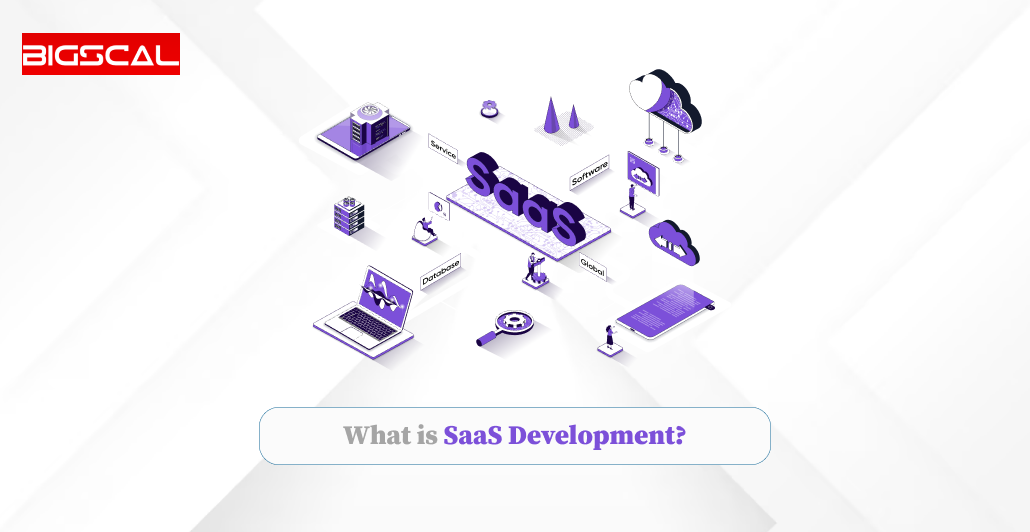 What is SaaS Development