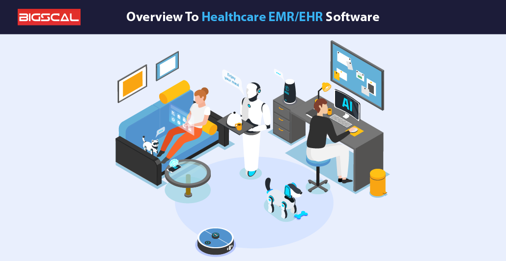 Overview To Healthcare EMREHR Software