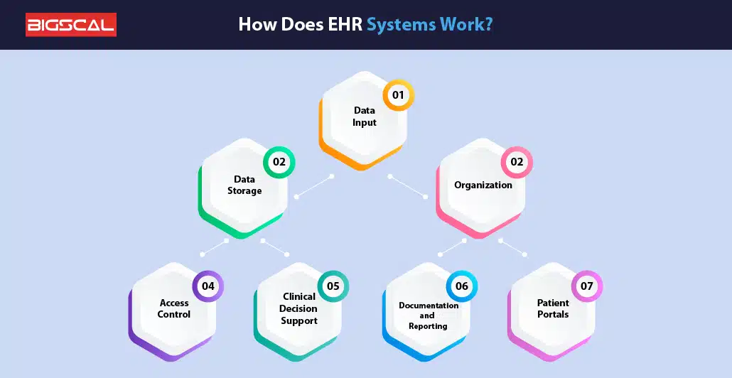 How Does EHR Systems Work