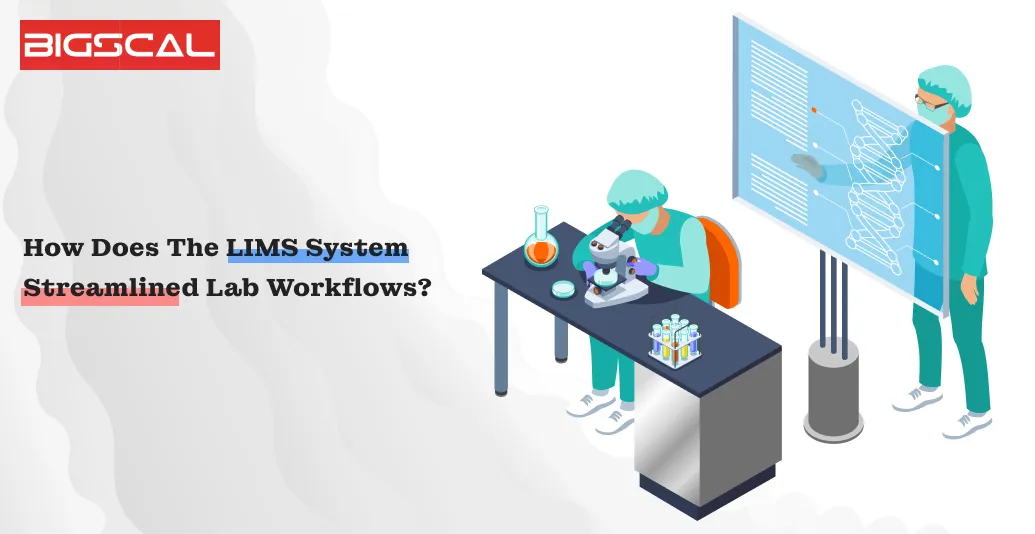 How Does the LIMS System Streamlined Lab Workflows_