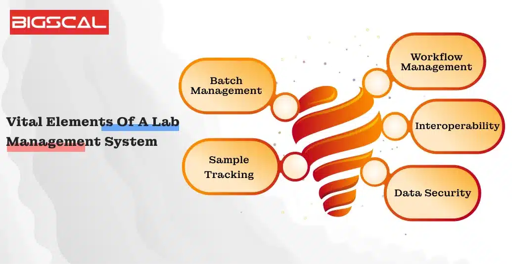 Vital Elements Of A Lab Management System