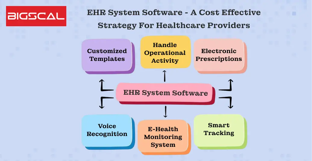 EHR System Software - A Cost Effective Strategy for Healthcare Providers