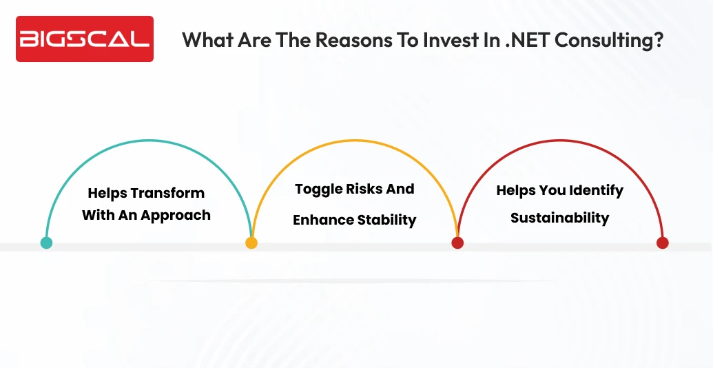 What are the reasons to invest in .NET consulting_